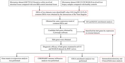 Identification and validation of hub genes expressed in ulcerative colitis with metabolic dysfunction-associated steatotic liver disease